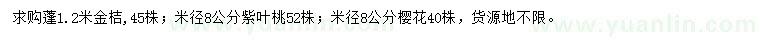 求购金桔、紫叶桃、樱花