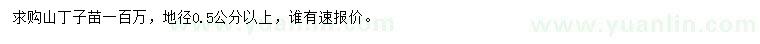 求购地径0.5公分以上山丁子苗