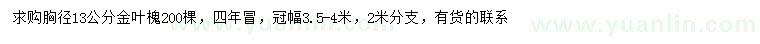 求购胸径13公分金叶槐