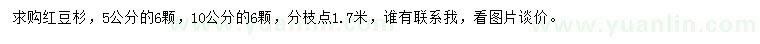 求购5、10公分红豆杉