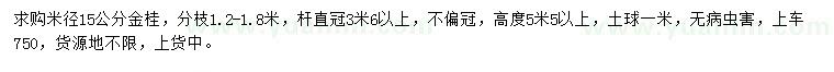 求购米径15公分金桂