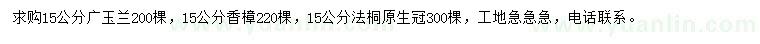 求购广玉兰、香樟、法桐