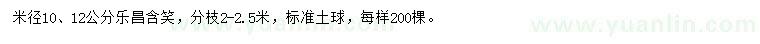 求购米径10、12公分乐昌含笑