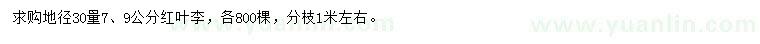 求购地径30量7、9公分红叶李