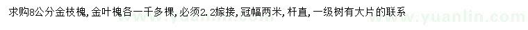 求购8公分金枝槐、金叶槐