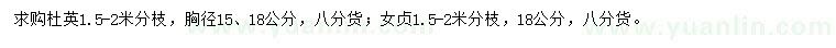 求购胸径15、18公分杜英、18公分女贞