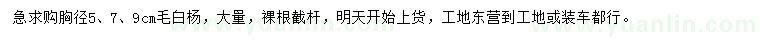 求购胸径5、7、9公分毛白杨