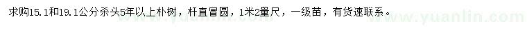 求购1.2米量15.1、19.1公分朴树