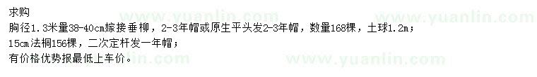 求购胸径1.3米量38-40公分嫁接垂柳、15公分法桐