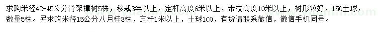 求购米径42-45公分骨架移栽樟树、米径15公分八月桂