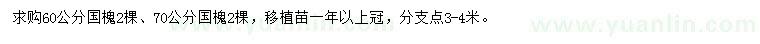 求购60、70公分国槐