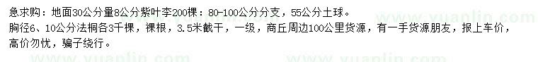 求购地面30公分量8公分紫叶李、胸径6、10公分法桐