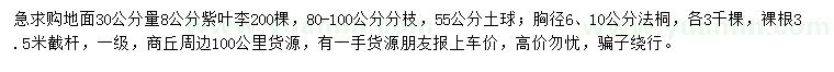 求购地面30量8公分紫叶李、胸径6、10公分法桐