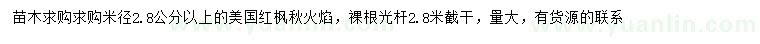 求购米径2.8公分以上美国红枫（秋火焰）