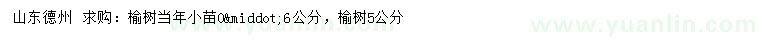 求购0.6公分榆树小苗、5公分榆树