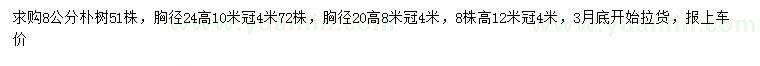 求购胸径8、20、24公分朴树 