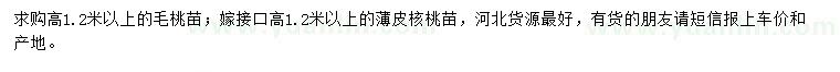 求购高1.2米以上毛桃苗、嫁接口高1.2米以上薄皮核桃苗