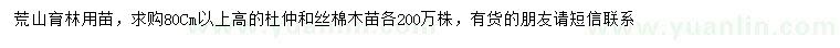 求购高80公分以上杜仲、丝棉木