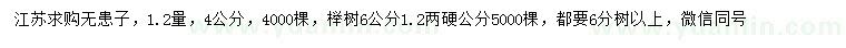 求购1.2量4公分无患子、6公分榉树