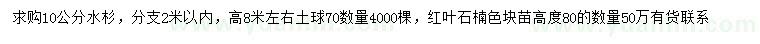 求购10公分水杉、高80公分红叶石楠色块苗