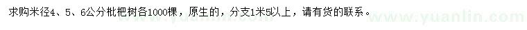 求购米径3、4、5、6公分枇杷树