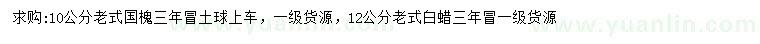 求购10公分老式国槐、12公分老式白蜡