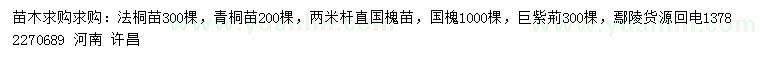 求购法桐苗、青桐苗、国槐苗等