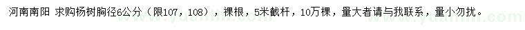 求购胸径6公分107、108杨树