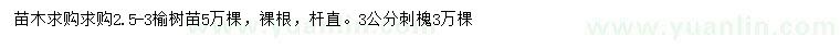 求购2.5-3米榆树苗、3公分刺槐