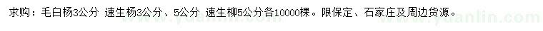 求购毛白杨、速生杨、速生柳