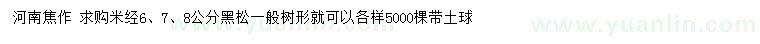 求购米径6、7、8公分黑松