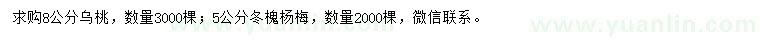 求购8公分乌桃、5公分冬槐杨梅