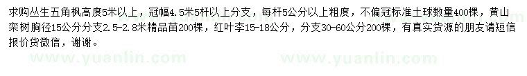 求购丛生五角枫、黄山栾树、红叶李