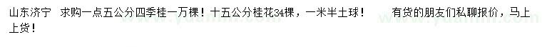 求购5公分四季桂、15公分桂花