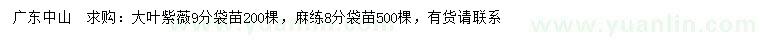 求购9公分大叶紫薇、8分麻练袋苗