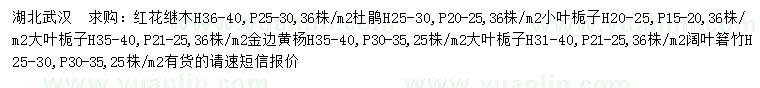 求购红花继木、杜鹃、小叶栀子等