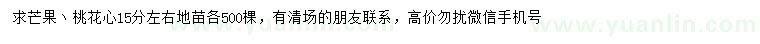 求购15公分左右芒果、桃花心