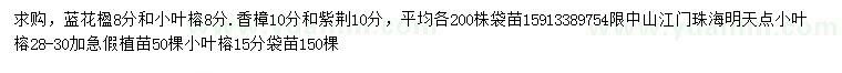 求购蓝花楹、小叶榕、香樟等