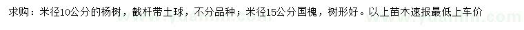 求购10公分杨树、15公分国槐