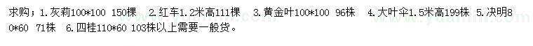 求购灰莉、红车、黄金叶等