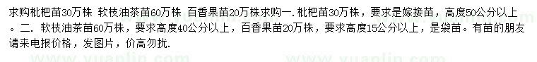 求购枇杷苗、软枝油茶苗、百香果苗