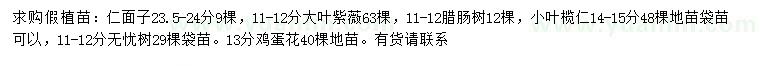 求购人面子、大叶紫薇、腊肠树等