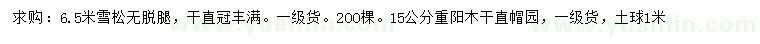 求购6.5米雪松、15公分重阳木