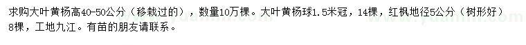 求购大叶黄杨、大叶黄杨球、红枫