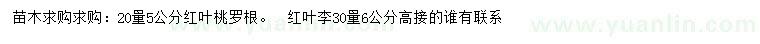 求购20量5公分红叶桃、30量6公分红叶李