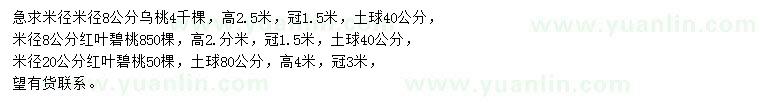 求购米径8公分乌桃、红叶碧桃