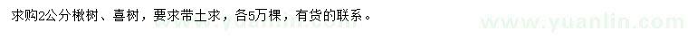 求购2公分楸树、喜树