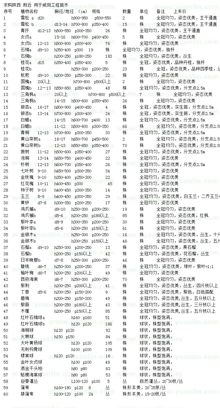 求购雪松、青扦、女贞等