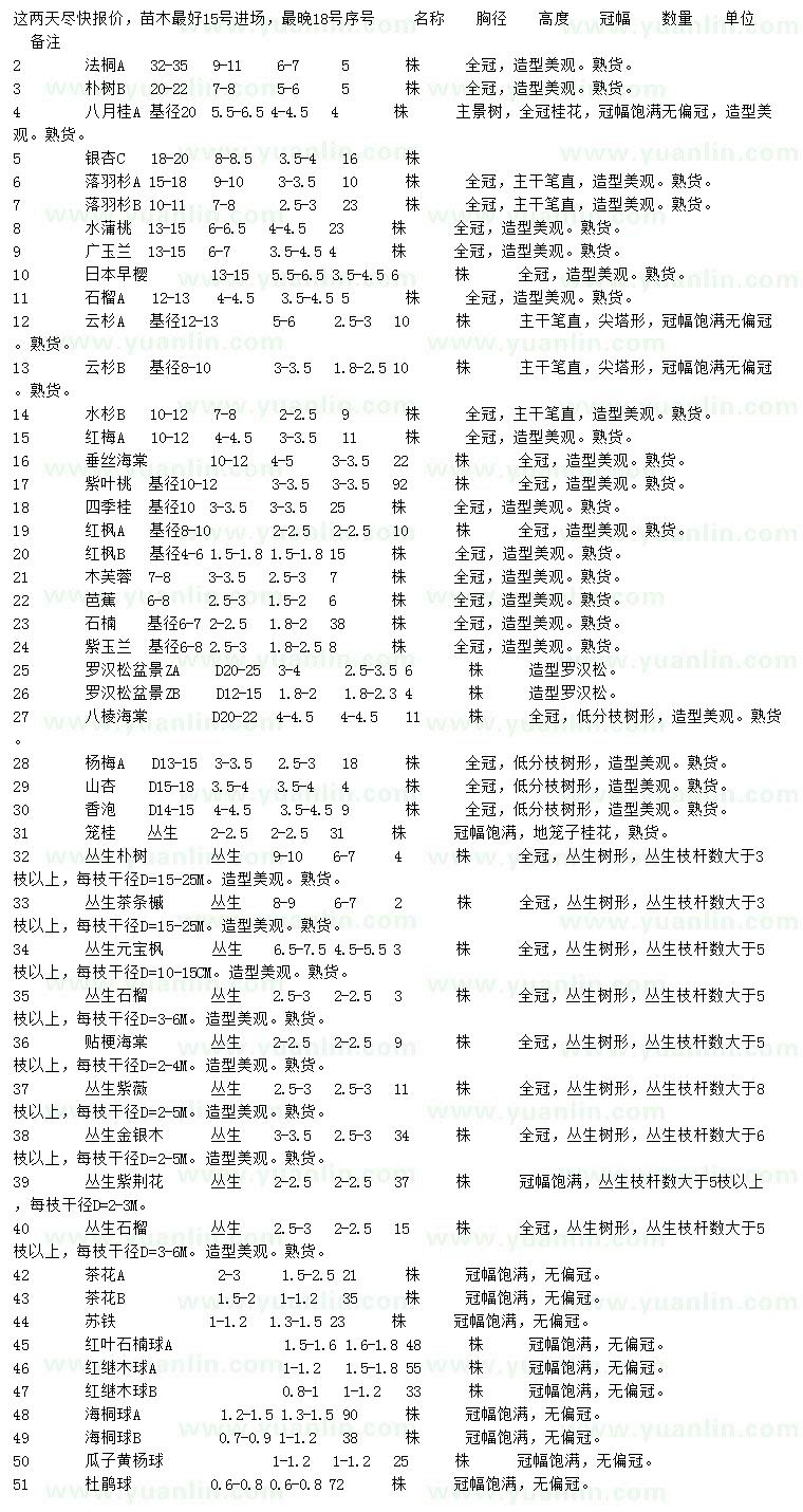 求购法桐、朴树、八月桂等