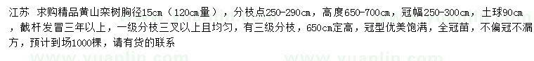 求购120公分量胸径15公分黄山栾树